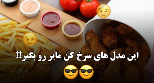 بهترین سرخ کن های برند مایر